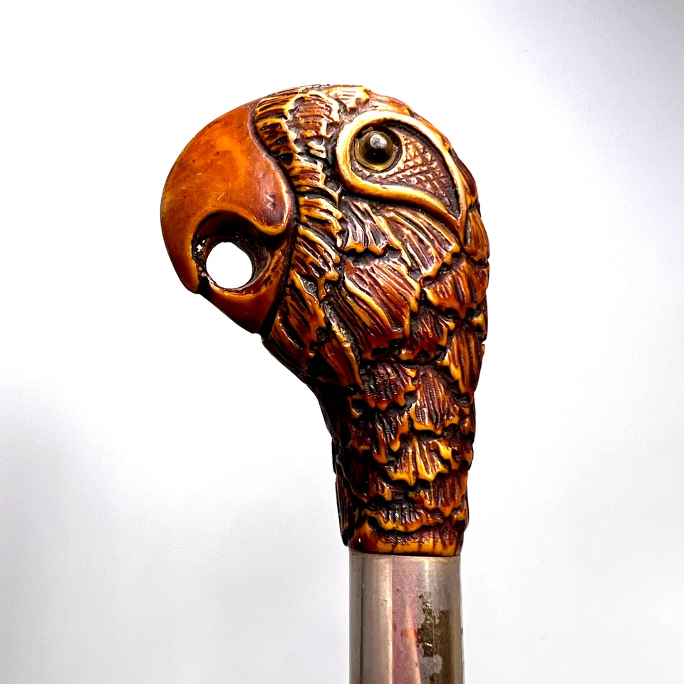 Bastón de bambú con mango de bastón de loro de madera tallado a mano raro de la década de 1970 Foto 1 de 4