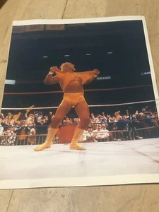 Vintage Hulk Hogan 8x10 Photo  - Picture 1 of 2