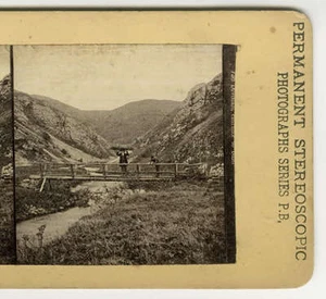 Stereoview Bridge to Dovedale, Eingang nach Dale, England - Bild 1 von 1