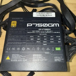 GIGABYTE GP-P750GM 750W Power Module - Afbeelding 1 van 5