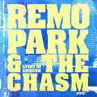 Remo Park And The Chasm   Lying In Ambush Lp Vg Vg 