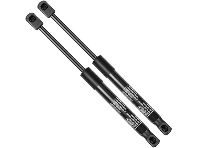 Juego de puntales de puerta trasera APR 66CBJN14 para Pontiac G6 2009 2008 2005 2006 2007 2010 Foto 1 de 1