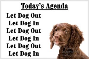 Chocolate Brown Cocker Sprocker Spaniel Dog Funny Fridge Magnet Birthday Gift - Picture 1 of 1