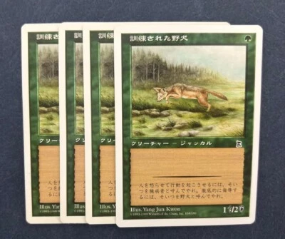 MTG 4X JAPANESE PORTAL THREE KINGDOMS TRAINED JACKAL NM P3K COMMON CREATURE - Image 1 of 4