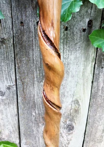 41" - Hand Carved - Maple - Hiking Stick - Walking Cane - 550 Paracord Grip - Picture 1 of 10