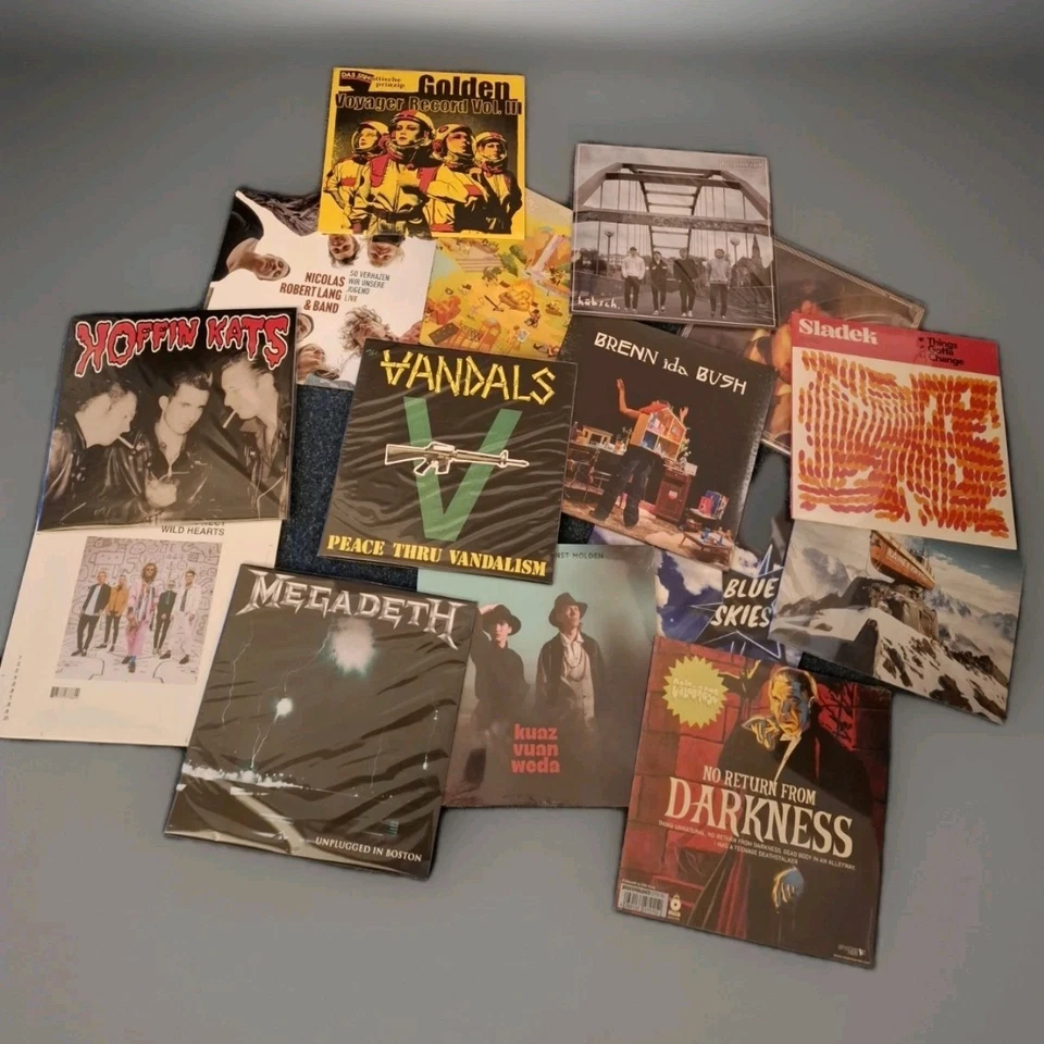 15 LP Vinyl Paket gemischt Schallplatten Rock Metal Alternative Indie Punk Neu  - Bild 1 von 1
