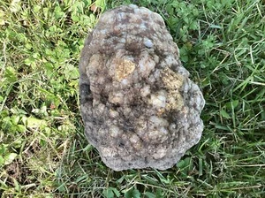 5 Lb + Indiana Geode Crystals , minerals,fossil Intact Jewelry Lapidary - Imagen 1 de 4