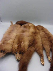 Vintage Four Minks Stole Neck Scarf - Picture 1 of 4