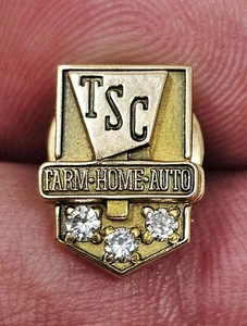 Vintage TSC Tractor Supply Co 10K Gold Service Award Pin Farm Home Auto w/... - Picture 1 of 6