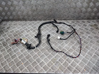 Cableado de puerta delantera izquierdo Nissan Cabstar F24 2.5 2006-13 N/S 24125-MB42E Foto 1 de 4