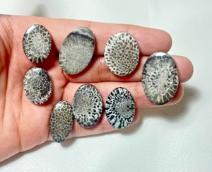109ct NATURAL GORGEOUS BLACK FOSSIL OVAL CABOCHON LOOSE GEMSTONE LOT A28 - Picture 1 of 3