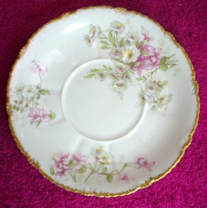 Theo Haviland (Schleiger 317_? Blank 117) 5 5/8" SAUCER EUC - Picture 1 of 2