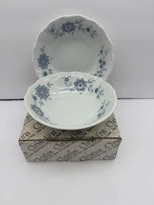 Lote 2 Cuencos Seltmann Weiden "Christina' Bavarian Blue Fruit 5 1/4" Núcleo de Casa - Imagen 1 de 4