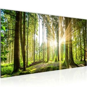 Large Abstract Single Woods Oil Painting Art Canvas Printed Wall Decor Framless