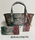 Brahmin Mini Misha Carnival Ombre Melbourne with Ady Wallet ~ Genuine Leather