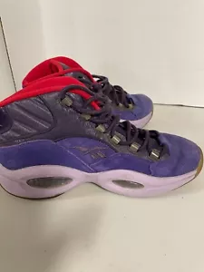 Reebox Iverson Fantasma de Navidad Futuro Talla 10 Púrpura Poco Uso ¡Gran Color! - Imagen 1 de 5