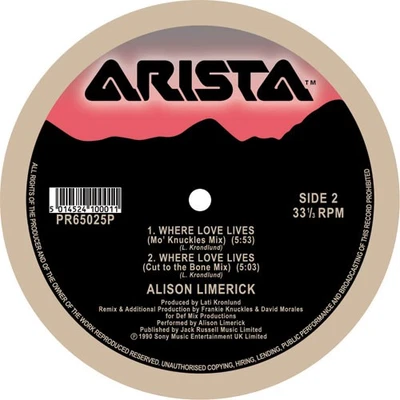 Alison Limerick - Where Love Lives (Vinyl 12")(Pre-Order Restock Due 18-12-25) - Image 1 of 4