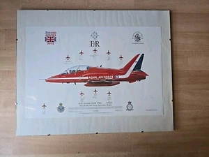RAF RED ARROWS HAWK TMK1 SIGNED BY ALL THE SQUADRON FRAMED PRINT 2012 - Picture 1 of 12