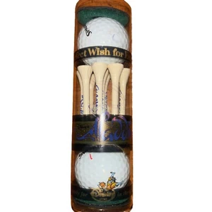 Walt Disney Aliddan Golfbälle + Tees Set Spalding - Bild 1 von 1