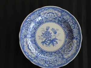 C-900 The Spode Blue Room Collection Floral Plate - Picture 1 of 4