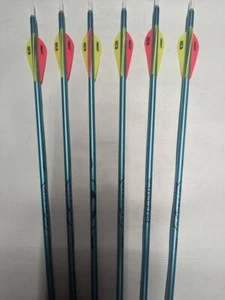 6 Easton Genesis NASP 1820 Aluminum Arrow w/ Bohning Heat Vanes, Nocks, & Points - Picture 1 of 3