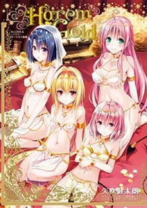 To Love-Ru Darkness Harem Gold Hardcover Art Book + Case - Picture 1 of 2