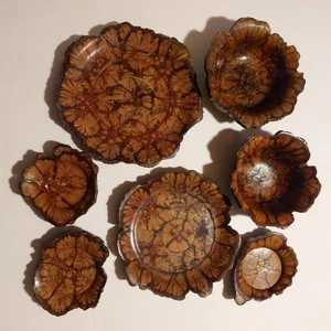Juego de platos, platillos asiáticos súper raros vintage de 7 piezas de madera de crisantemo - Imagen 1 de 13