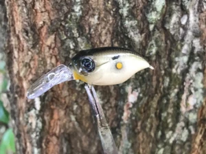 SPEEDBAITS Custom Airbrushed Crankbait GRIFFON SR-X CLONE BFS - Bild 1 von 13