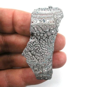 DVH Ford F150 Dragonscale Fordite Specimen Polished Face Rough KC Assembly (5754 - Bild 1 von 4