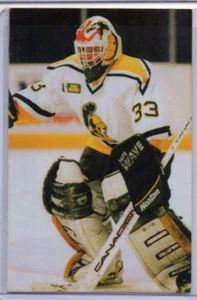 Clarkson University 1994-95 - Golden Knights Hockey Calendario de bolsillo - Imagen 1 de 2