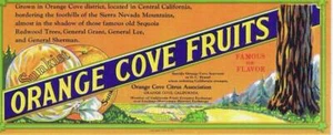 Sunkist Orange Cove Fruits Citrus Ass. Blotter de tinta Orange Cove CA cc década de 1930 - Imagen 1 de 1