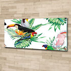 Acrylglas-Bild Wandbilder Druck 125x50 Deko Tiere Tropische Vgel