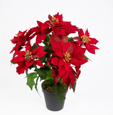 Weihnachtsstern Nature 38cm samt-rot im Topf PM künstliche Blume Kunstblumen - Bild 1 von 4