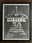 SCORPIONS "ANIMAL MAGNETISM" Album- framed original A3 music press advert (1980)