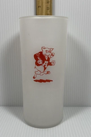 Vintage University of Arkansas 16 OZ Frosted Glass Cover