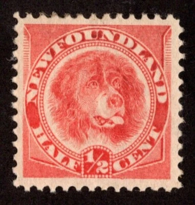KAPPYSstamps  CANADA NEWFOUNDLAND SCOTT 57 ROSE RED HINGED VF-XF CV $120 SB18 - Image 1 of 2
