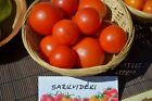 Sub Artic Plenty - Arktische Tomate - 5+ Samen - Samen - Samen - P 419