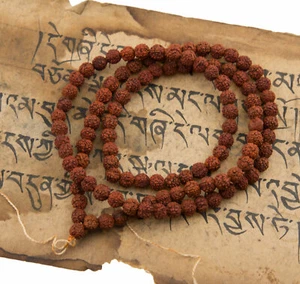 Collier Bouddhiste Mala Tibétain  Shiva Graines Rudraksh Rudraksha Ø 6.5mm #576 - Picture 1 of 4