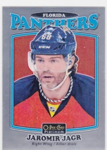 16/17 PLATINUM..JAROMIR JAGR..RETRO..CARD # R-46..PANTHERS..FREE COMBINED SHIP - Picture 1 of 1