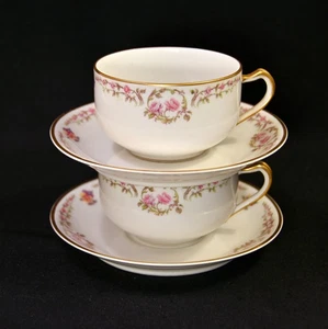 Limoges Haviland 2 Cups & 2 Saucers Schleiger 534 Pink Roses Gold Trim 1894-1931 - Picture 1 of 24