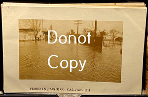 #PC42,Flood Pacheco Creek CA Seldom Seen 1914 Flood RPPC