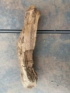 Natural Driftwood for Plants Terrarium Taxidermy Art Projects - Picture 1 of 6