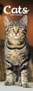 Cats Slim 2026 Calendar | Slimline Gift 15% OFF MULTI ORDERS - Picture 1 of 8