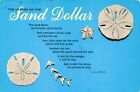 Postcard The Legend of the Sand Dollar V.L. Little Poem Religion Christ's Wounds