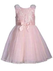 NWT Bonnie Jean Girls 4 Pink Ballerina Embroidered Floral Special Occasion Dress - Picture 1 of 3