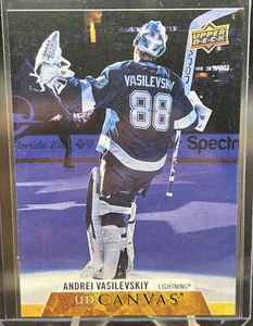 UD 2020-21 lona Andrei Vasilevskiy Tampa Bay Lightning envío gratuito - Imagen 1 de 4