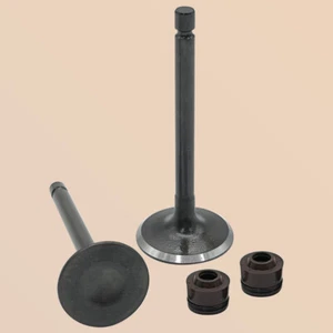 Engine Intake Exhaust Valves Kit for Yamaha TTR125E 2003-2009 TTR125L 2000-2008 - Picture 1 of 6