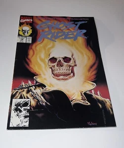 Ghost Rider #18 | The Resurrection of Barbara Ketch | Painted Cover Unread - Picture 1 of 6