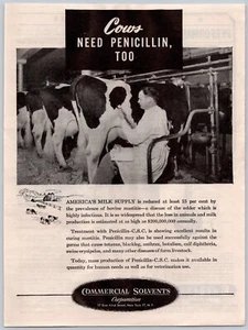 VINTAGE PRINT AD  TIME 1943 COWS NEED PENICILLIN TOO COMMERCIAL SOLVENTS - Picture 1 of 1