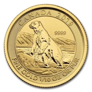 2019 Royal Canadian Mint Polar Bear 1/10 oz Gold Coin - Factory Sealed - Picture 1 of 2